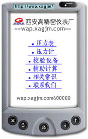 西安高精密儀表廠無線互聯(lián)網(wǎng)產(chǎn)品信息服務(wù)網(wǎng)站正式開通